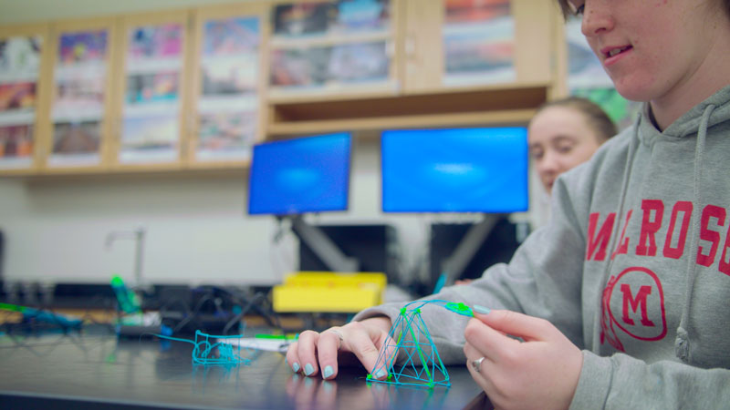 The 3Doodler pen allows students to create a variety of tangible creations spanning different disciplines from math, physics, biology, art and more.