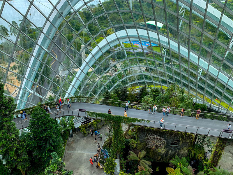 At the top of the Cloud forest, an indoor conservatory with rare plants and tropical flowers.
