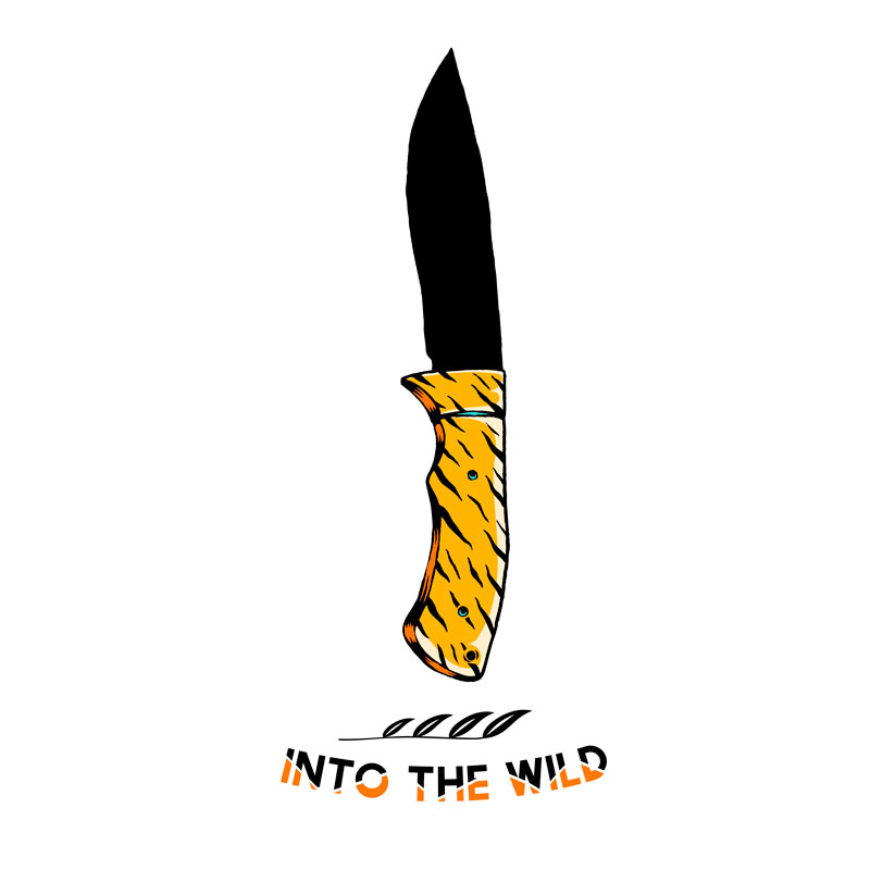 I had a two-hour conversation with two grade 11 students about patriarchy and John Krakauer’s Into the Wild and the films of Richard Linklater.
