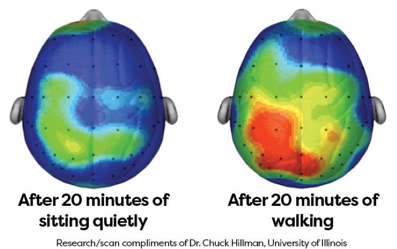 Actividad cerebral después de 20 minutos de estar sentado en silencio, versus caminar