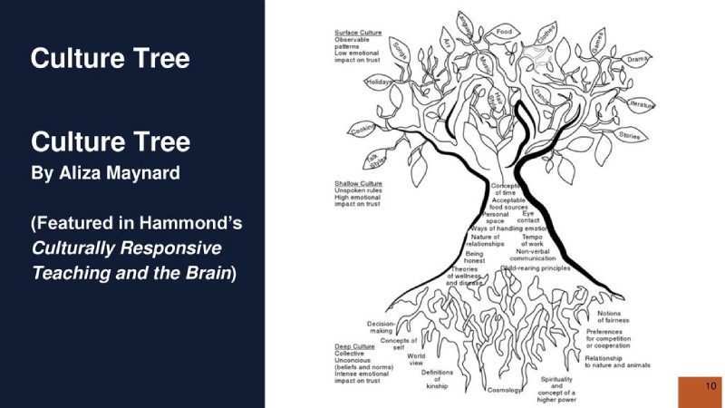 El árbol de la cultura aparece en el cerebro y la enseñanza culturalmente receptiva de Hammond.