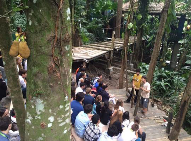 A workshop on bamboo in EARJ’s green space.